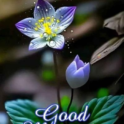 sumesh169188's profile picture. 