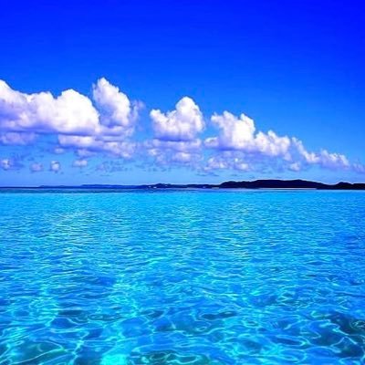 IoFbprjS5cMxiDC's profile picture. 現在の仕事 才能の花開花している🌼 株式投資も始めたばかり🧐かんたんではないから夢中(๑･̑◡･̑๑)