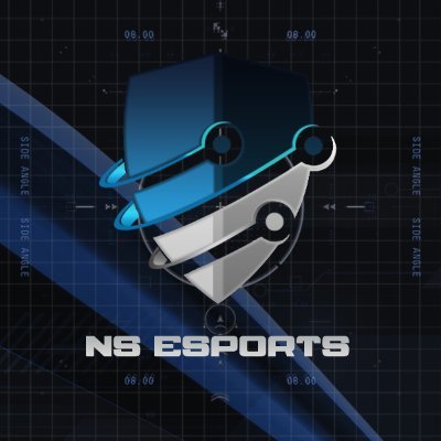 No Style Esports