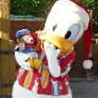 どなっち (@donaldcafe) Twitter profile photo