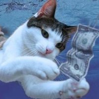 GOROmanX (@goromanx) 's Twitter Profile