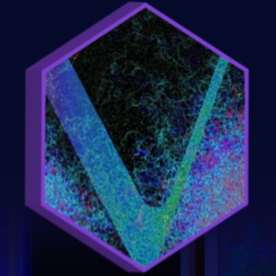 VeysarumNFT's profile picture. Generative Art collection that intertwines the growth and decay models of physarum with randomization to create 1/1 VNFTs