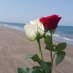 الحياه حلوه بس صعبه 💔 (@mhaslah28806) Twitter profile photo الحياه حلوه بس صعبه 💔 (@mhaslah28806) Twitter profile photo