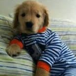 I’m leaving this account, follow this one: @puppy_boyo289
