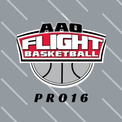 AAO Flight - PRO16