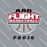 AAO Flight - PRO16 (@flightaao) 's Twitter Profile