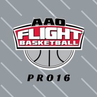 AAO Flight - PRO16(@FlightAAO) 's Twitter Profileg