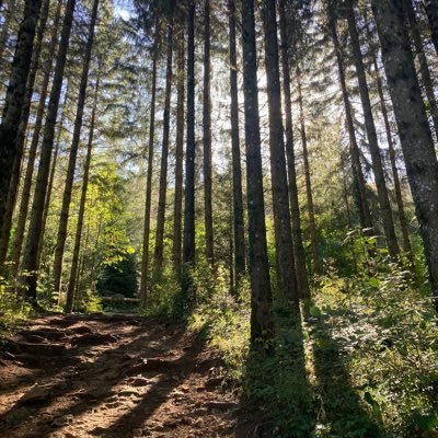 wagzzMike's profile picture. a Little bit of Osint, a little bit of everything