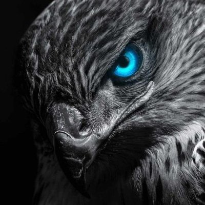 ComodinGracian's profile picture. 