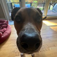 Eric (@quagmire5995) 's Twitter Profile