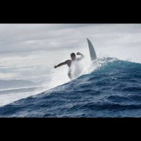 U.S.Reboot (@reboot184446) 's Twitter Profile