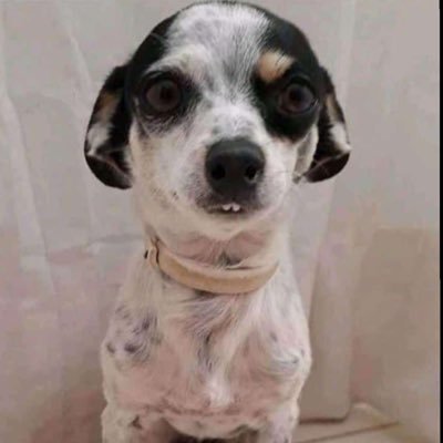 renner_kaleb's profile picture. 