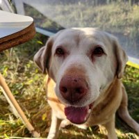 Lyle Bert (@bertlyle) Twitter profile photo