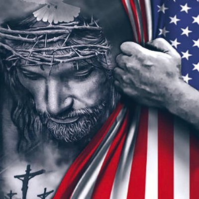 Miki747747's profile picture. 