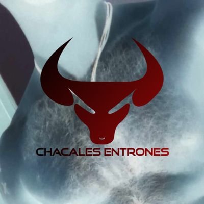 ENTRONES CHACALES RESPALDO 1