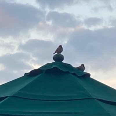 KK1921832's profile picture. 