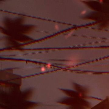 yxngtrippy100's profile picture. 