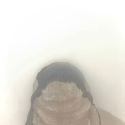 meowmeowhaleOwO's profile picture. recreate sound.

aPriori @apriori_circle
失業魔法少女@nojobmahoshojo