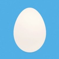 @JRoc23's GIFs/OSINT/Reaction/Vids 🟡 (@JRoc23G) 's Twitter Profile Photo