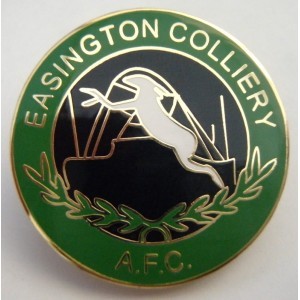 Official twitter of Easington Colliery Football Club. Northern League Division 2.