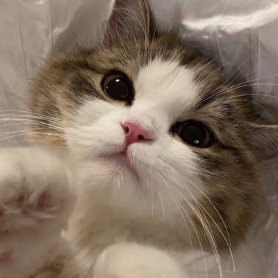 Pirerre3's profile picture. ไม่มีรูป=ไม่ตอบ ไม่เรื่องมาก