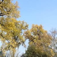 天使魔鬼 (@gui_tian45762) 's Twitter Profile Photo