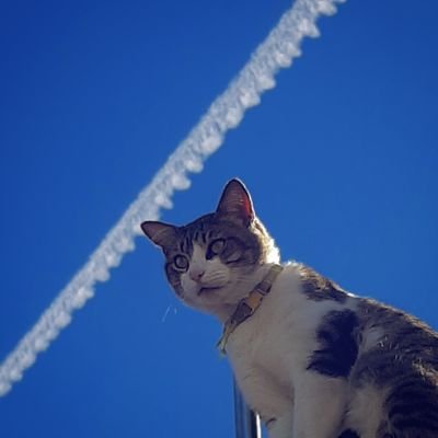 BrahoBryan's profile picture. 