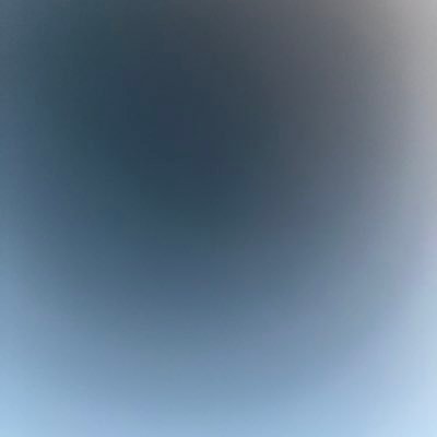 0nilq's profile picture. txt🐻