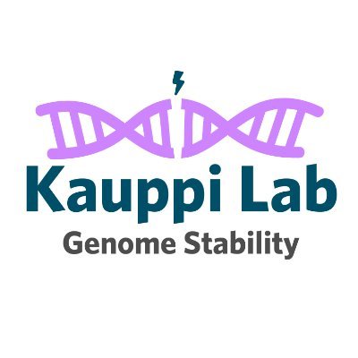 Liisa Kauppi's research group, focused on understanding how cells maintain their genomic integrity in the face of internal and external DNA damage.