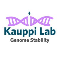 Kauppi Lab (@labkauppi) 's Twitter Profile Photo
