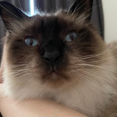 gksay0902's profile picture. 