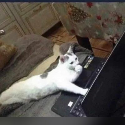 wastechk's profile picture. faxts