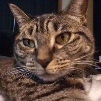 KoalatyControl (@koalatycontrol) 's Twitter Profile