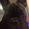 GioRTK's profile picture. 