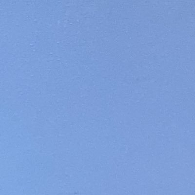 samuel50939265's profile picture. Rational