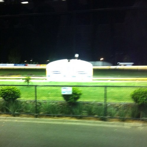 whiteyvb's profile picture. 