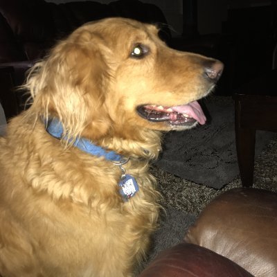 ChaleCrypto's profile picture. Crypto Enthusiast