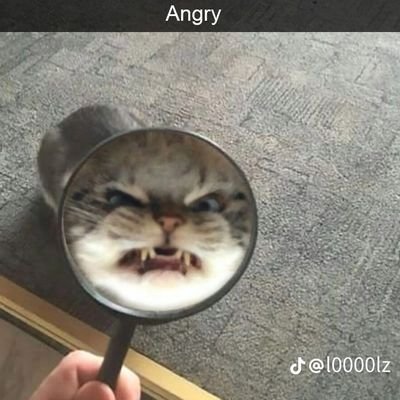 Notabitch28's profile picture. she/her, kind of a dumbass