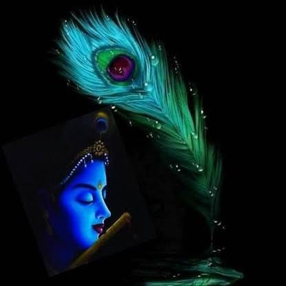 loveforbiryani's profile picture. Biryani is lub ❤️