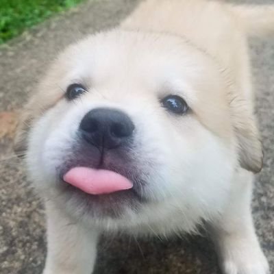 🌏さんのプロフィール画像