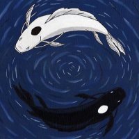 sky (@solocite) 's Twitter Profile