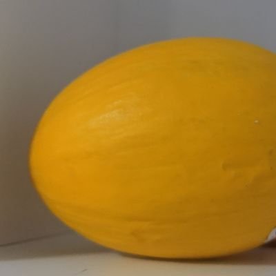 Yjcocoon's profile picture. 🍥🍅