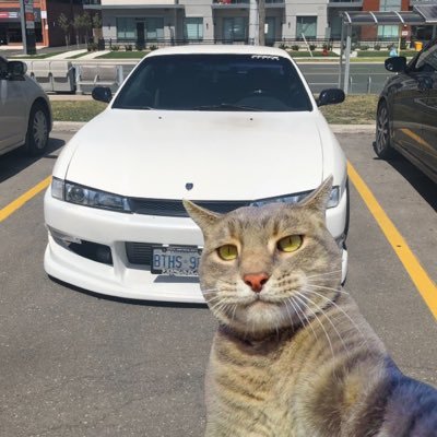 _m_cam_'s profile picture. 16