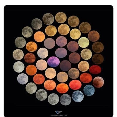 NathanP70490054's profile picture. 