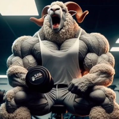 aharonkakoly's profile picture. 