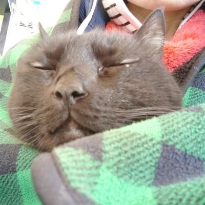 屍人間(小休止)さんのプロフィール画像