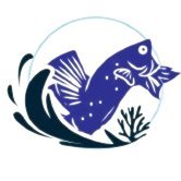 Aqua Diary(@aquadiaryoffici) 's Twitter Profile Photo