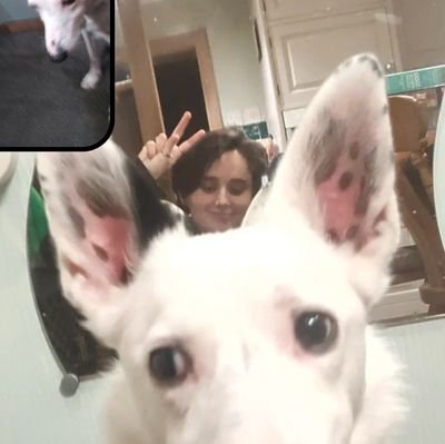 tyrrelnottyrell's profile picture. writer of fantasy mostly | any pronouns | my dog is blind and he wants you to publish my book