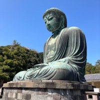 しば (@shiba_blur) Twitter profile photo