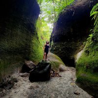 Fyl_Sun (@sunfyl) 's Twitter Profile